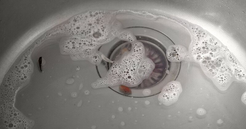 What Should You Never Put Down Your Kitchen Drain?